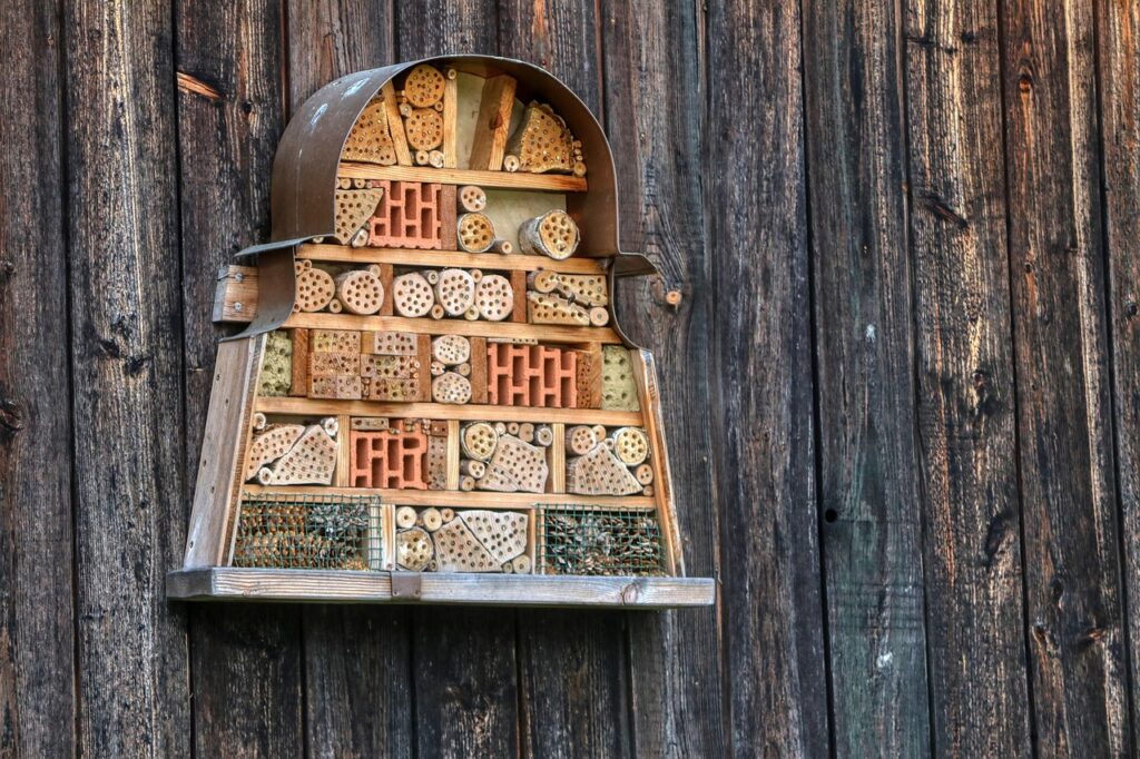 Hôtel à insectes et biodiversité